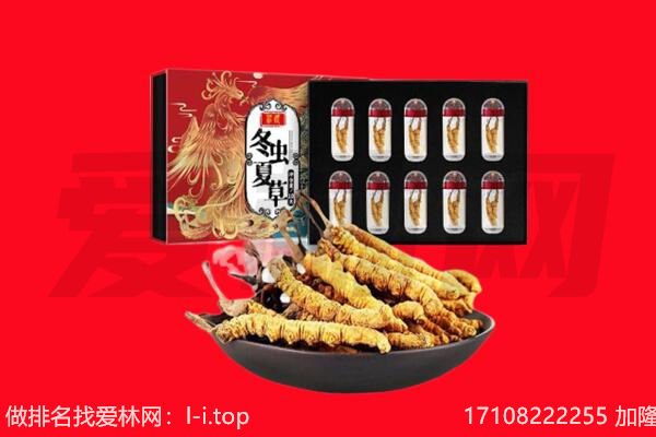 泉州市丰泽回收虫草.jpg